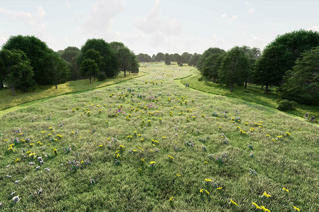 Bird Preserve Set 2 28