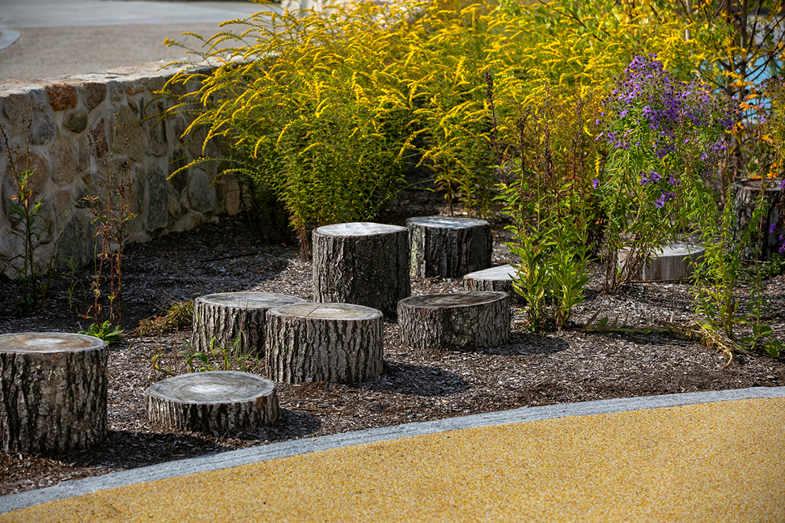 Blanche Ames Elem 119