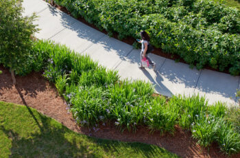 American Locomotive Works