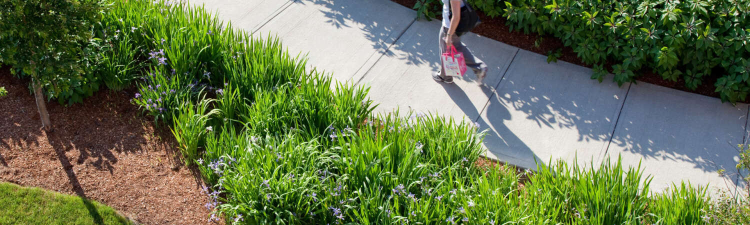 American Locomotive Works