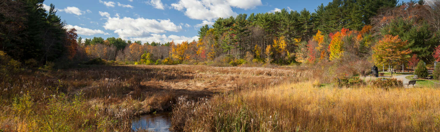 Bartlett Conservation Area