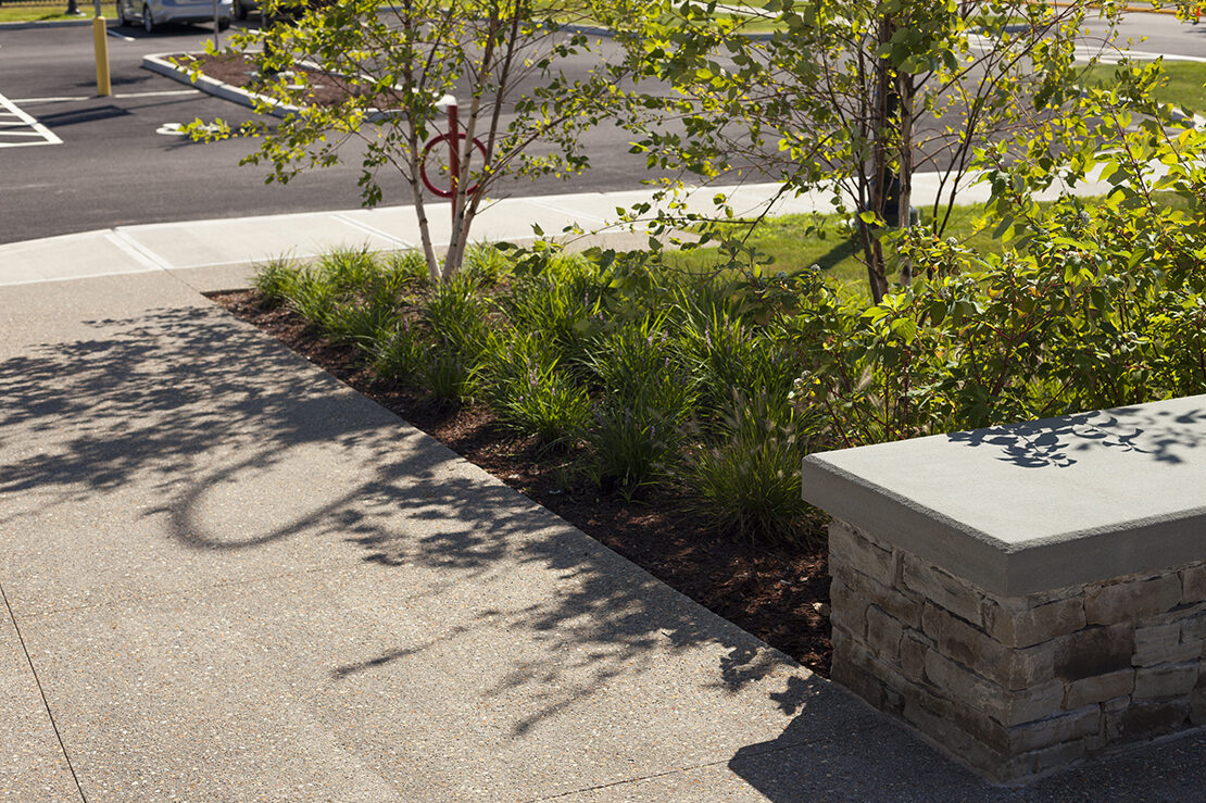 Birchwood Ricnursing 25